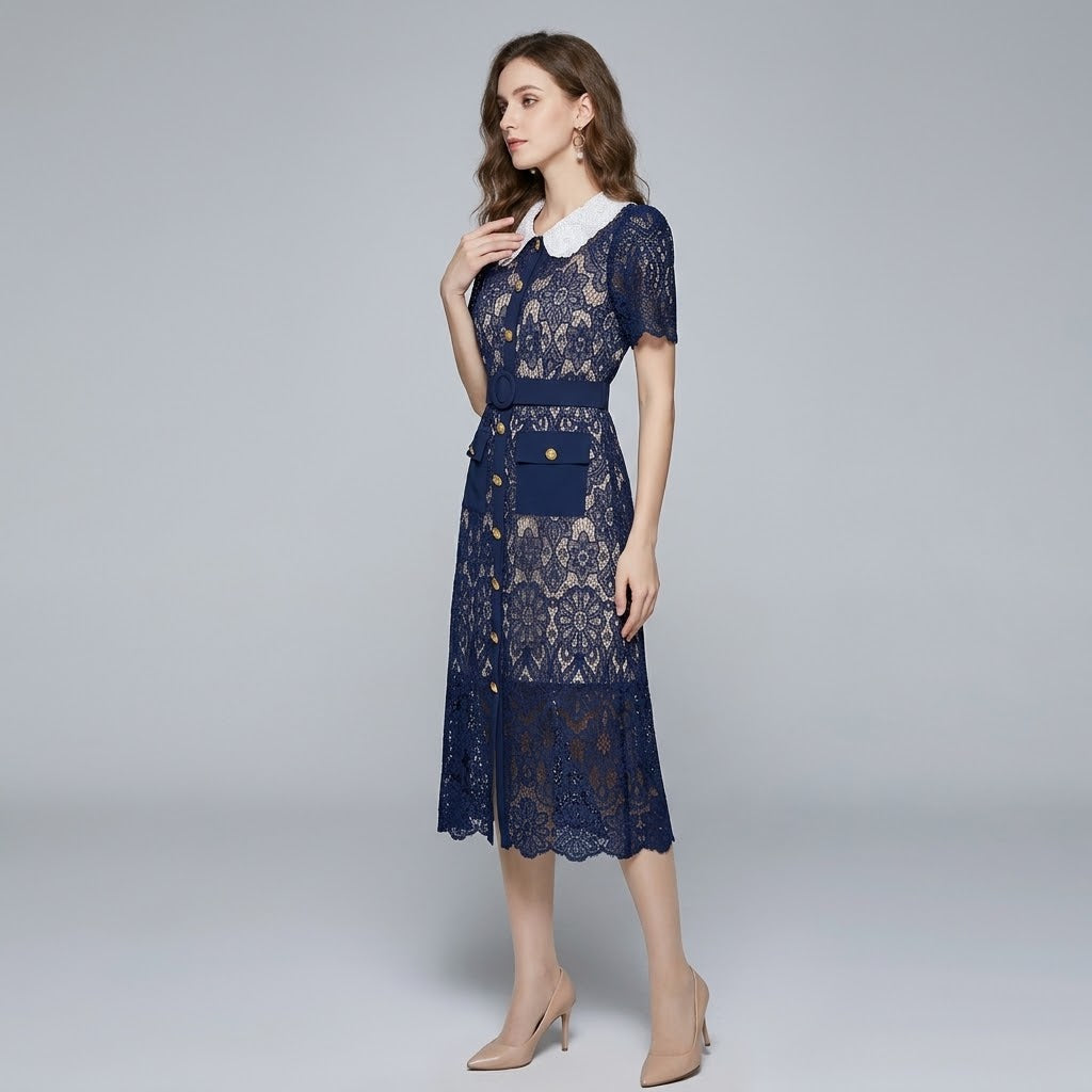 Lace Openwork Contrast Collar Tailored Sheath Dress