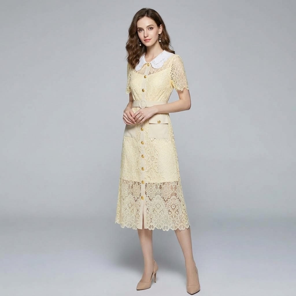 Lace Openwork Contrast Collar Tailored Sheath Dress
