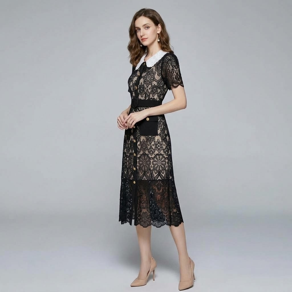 Lace Openwork Contrast Collar Tailored Sheath Dress